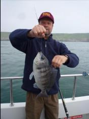 3 lb Black Sea Bream by Unknown