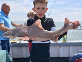 6 lb Starry Smooth-hound by Jake