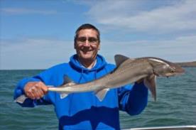 10 lb Starry Smooth-hound by John  Carter