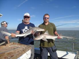 2 oz Smooth-hound by Unknown