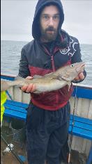 4 lb 3 oz Cod by Unknown