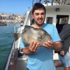 4 lb Trigger Fish by Lewis
