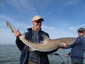 2 oz Starry Smooth-hound by Unknown