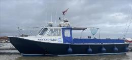 Sea leopard