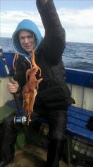 2 lb 12 oz Octopus by Unknown