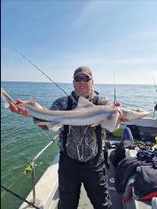 8 lb 5 oz Smooth-hound by Unknown