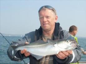 3 lb Coalfish (Coley/Saithe) by Kev