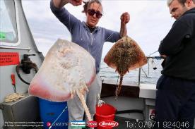 6 lb Thornback Ray by Shelby