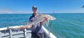 14 lb Smooth-hound (Common) by Andy Miller