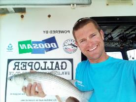 2 oz Thin-Lipped Grey Mullet by Unknown
