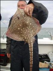 6 lb 9 oz Thornback Ray by Unknown