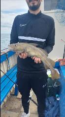 4 lb 10 oz Cod by Unknown