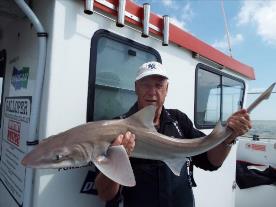 2 oz Smooth-hound by Unknown