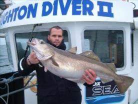 19 lb Pollock by si from brighton