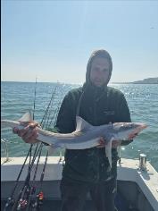 9 lb Smooth-hound by Ian