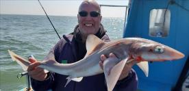 7 lb Starry Smooth-hound by Neal e