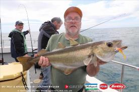 7 lb Pollock by Neil