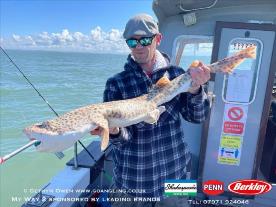 10 lb Bull Huss by Ste