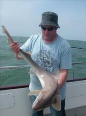 17 lb 3 oz Starry Smooth-hound by Dave