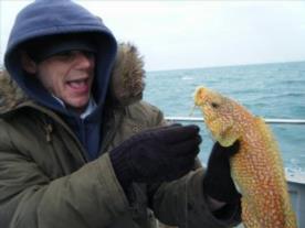 3 lb Ballan Wrasse by visitor from South London
