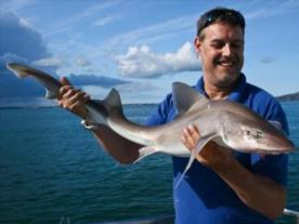 11 lb Starry Smooth-hound by Dave Barham