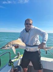 15 lb 3 oz Smooth-hound by Unknown