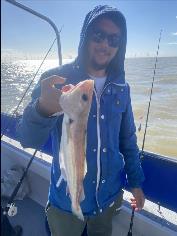 1 lb 7 oz Whiting by Jack