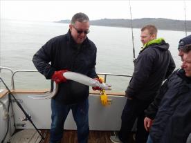 6 lb Conger Eel by Steve Gunning