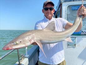 15 lb Smooth-hound (Common) by Mark