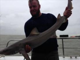 11 lb Starry Smooth-hound by Tom