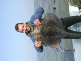 2 oz Thornback Ray by Unknown