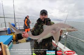14 lb Starry Smooth-hound by Dewi