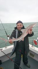 8 lb Smooth-hound by Mark