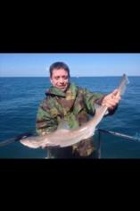 4 lb Smooth-hound (Common) by Chris Barlow