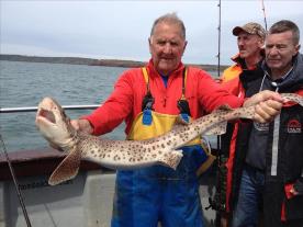 8 lb 8 oz Bull Huss by Pontardawe Athletic Club