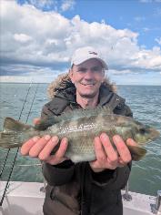 3 lb Baillon's Wrasse by Rob