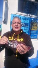 6 oz Red Gurnard by Mel Till