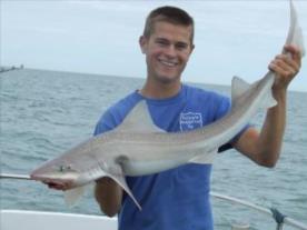 13 lb 11 oz Smooth-hound by scott belbin