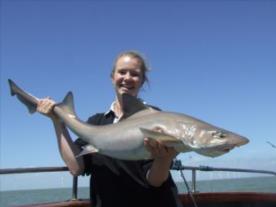 17 lb 8 oz Smooth-hound by Unknown