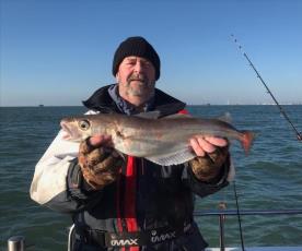 4 lb Whiting by Norman