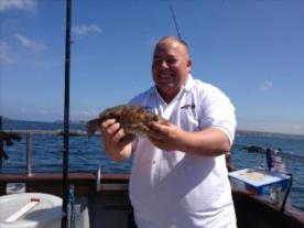 2 lb 8 oz Ballan Wrasse by Colin Searles Team England Home Nations 2016