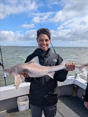 9 lb Starry Smooth-hound by Harry