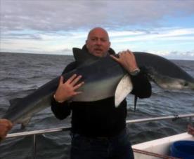 74 lb Blue Shark by Jason