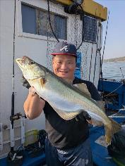 8 lb 14 oz Pollock by Alan