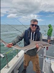 10 lb Starry Smooth-hound by Malky