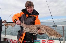 11 lb Bull Huss by Liam