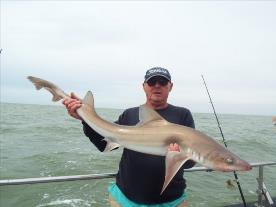 2 oz Smooth-hound by Unknown