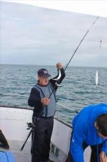 8 oz Mackerel by Arthur