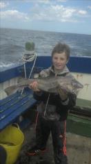 7 lb 9 oz Cod by Unknown