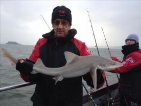 7 lb Smooth-hound (Common) by Gareth